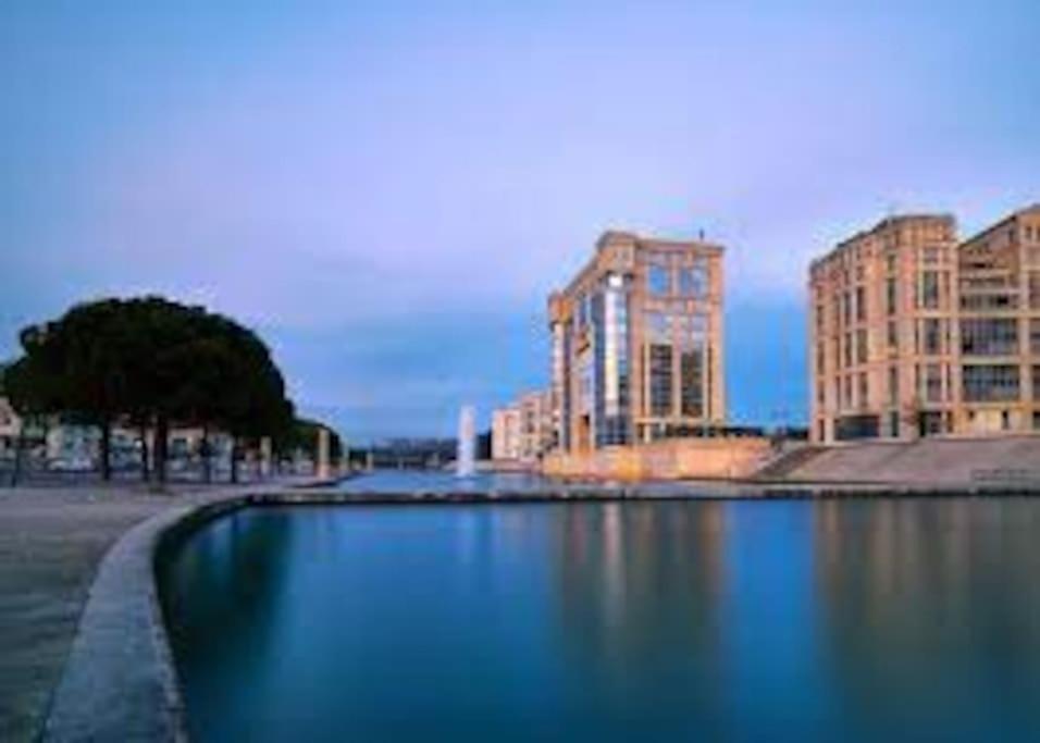 Le Dauphin Villa *
