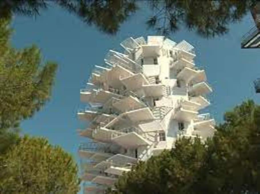 Le Dauphin * Montpellier