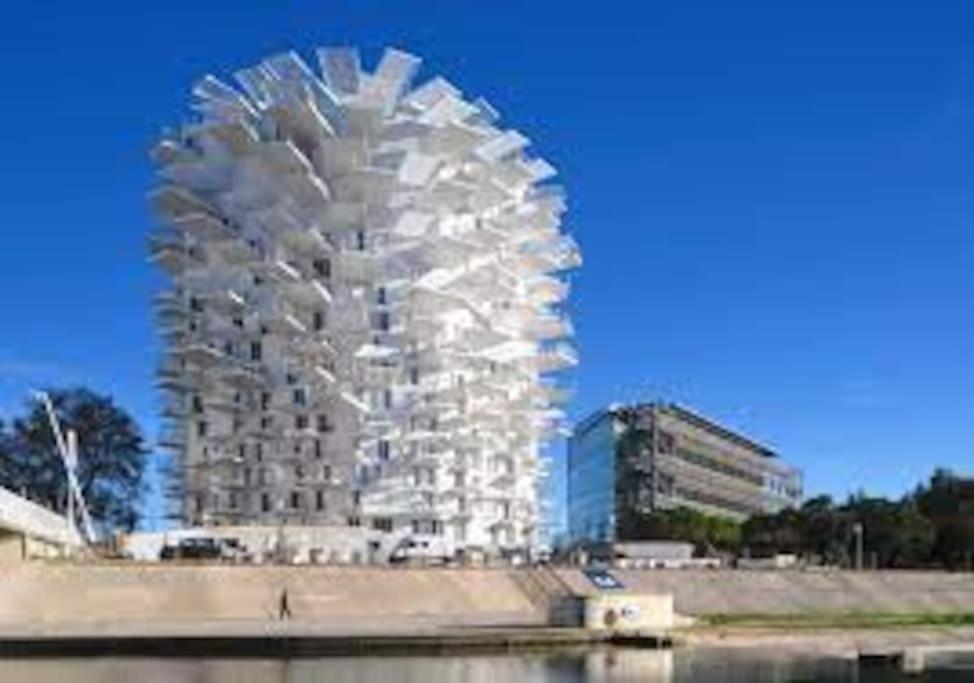 Le Dauphin Villa